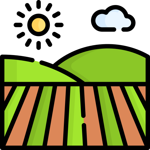 Field